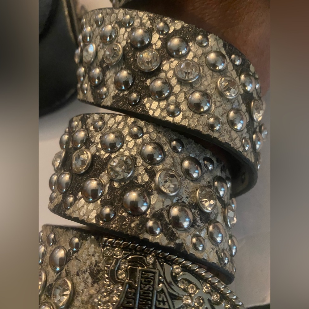 Silver Snake Embellished Harley Davidson Belt